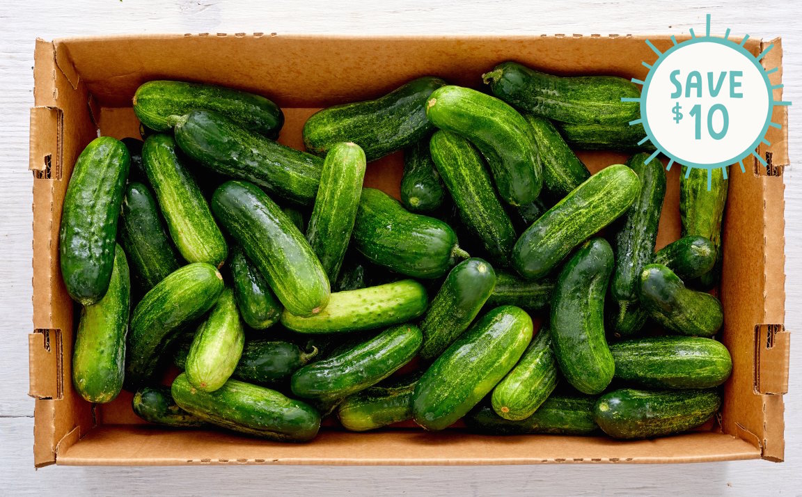 Case of Organic Kirby Pickling Cucumbers Full Belly Farm SF Bay